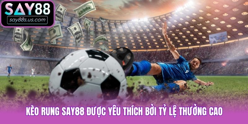 Kèo rung Say88 được yêu thích bởi tỷ lệ thưởng cao